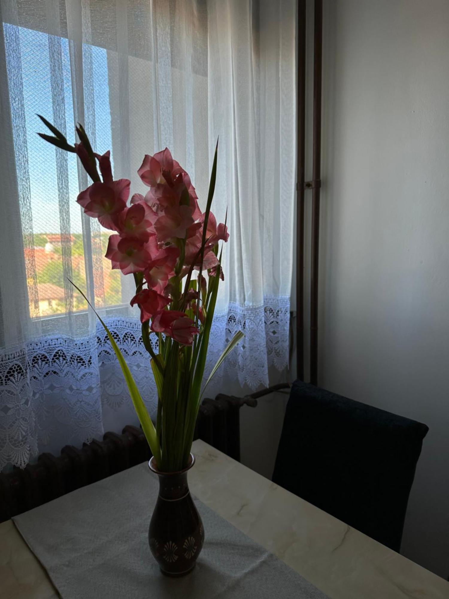 Tamaris Apartment Σουμπότικα Εξωτερικό φωτογραφία